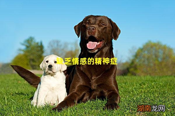 缺乏情感的精神症