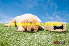 42岁女人的情感故事 性生活情感故事