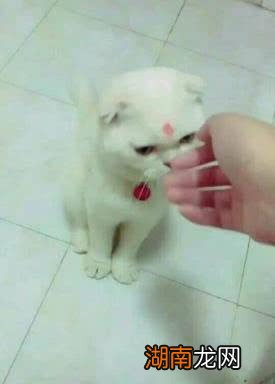 抖音五大最火网红依靠网络一夜变红人其实你也可以做到!