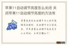 苹果11自动调节亮度怎么关闭 关闭苹果11自动调节亮度的方法有