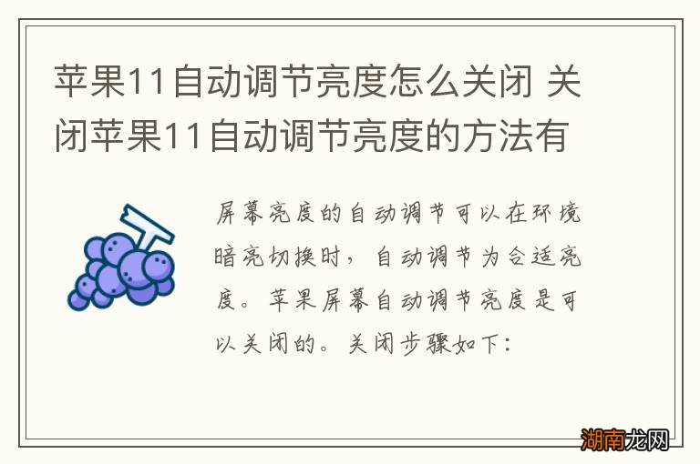 苹果11自动调节亮度怎么关闭 关闭苹果11自动调节亮度的方法有