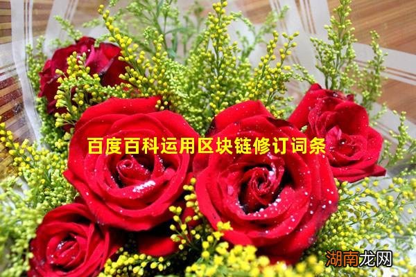 百度百科运用区块链修订词条