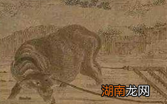 商鞅燔诗书以明法令具体是什么情况？