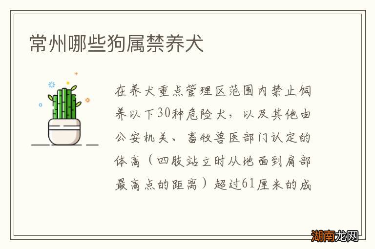 常州哪些狗属禁养犬