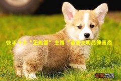 快手十大“正能量”主播“语言文明品德高尚”网友：妥妥的“正能量”！