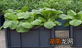 二培箱购买 二培箱制作方法