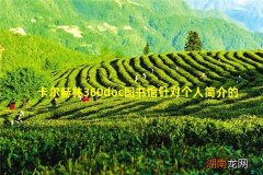 卡尔赫林360doc图书馆针对个人简介的几点自我举证