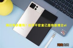 网红有多赚钱？任泽平官宣已是情感博主vip会员已售82w