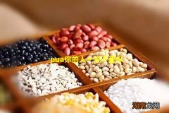 pua你的人一定不爱你