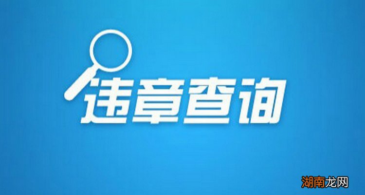 单位车怎么查违章