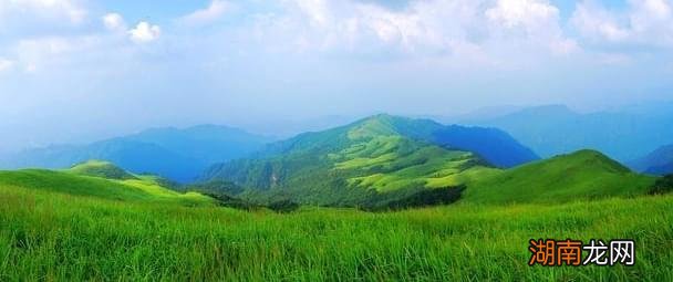 奥斯汀《理智与情感》:向左走向右走