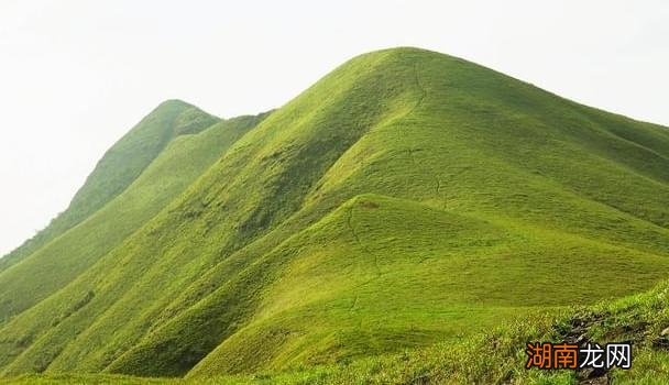 奥斯汀《理智与情感》:向左走向右走
