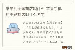 苹果的主题商店叫什么 苹果手机的主题商店叫什么名字