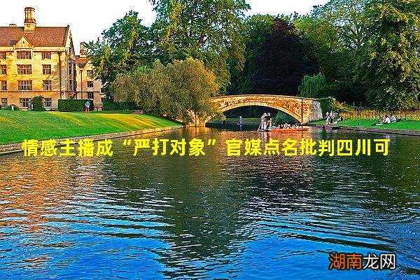 情感主播成“严打对象”官媒点名批判四川可乐、二晨紧急改名