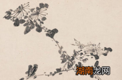 清朝著名画家李方膺为什么仕途不顺？