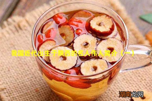 一 我国近代出生于陕西的名人伟人简介