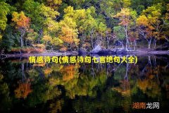 情感诗句七言绝句大全 情感诗句