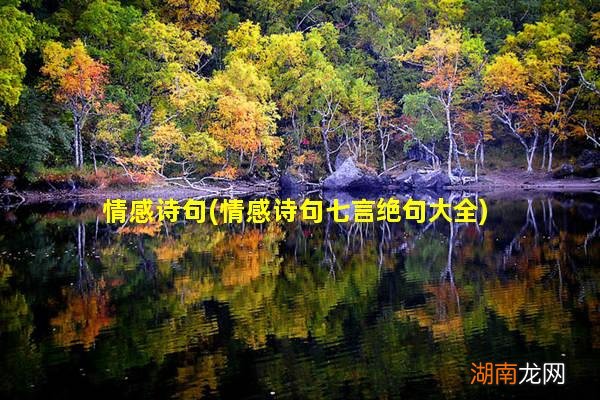 情感诗句七言绝句大全 情感诗句