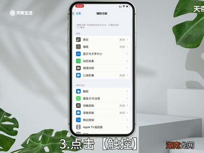 苹果12圆浮标怎么设置出来 苹果12圆浮标如何设置出来