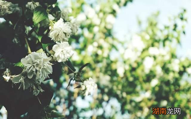 成年人的爱情通常都有这三种特征只是平时很少发现