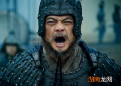 诸葛亮去世后，魏延为什么被杀？