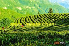 情感咨询师 在线咨询 爱情咨询