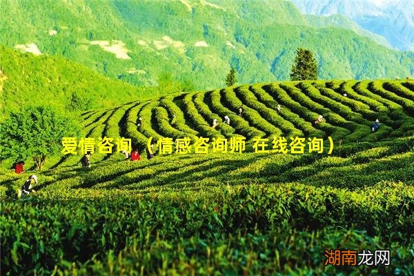 情感咨询师 在线咨询 爱情咨询