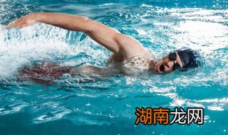 自由泳动作要领有哪些 自由泳动作要领是哪些