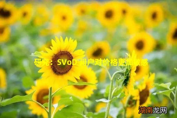 研究:SVoD 用户对价格更加敏感