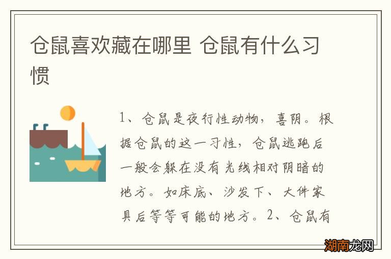 仓鼠喜欢藏在哪里 仓鼠有什么习惯