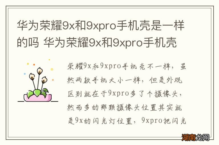 华为荣耀9x和9xpro手机壳是一样的吗 华为荣耀9x和9xpro手机壳是多大的