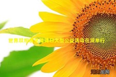 世界双相情感障碍日大型公益活动在深举行