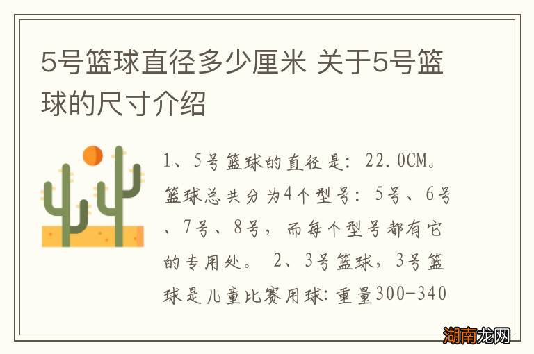 5号篮球直径多少厘米 关于5号篮球的尺寸介绍