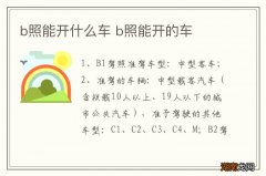 b照能开什么车 b照能开的车