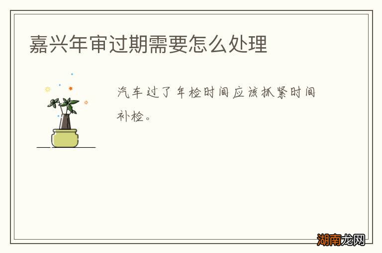 嘉兴年审过期需要怎么处理