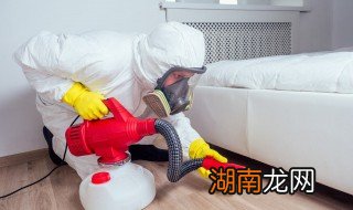 黑皮囊虫子怎么清除 黑皮囊虫子清楚步骤