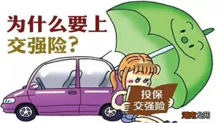 交强险不买会怎么样