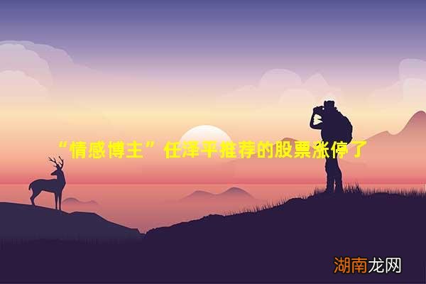 “情感博主”任泽平推荐的股票涨停了
