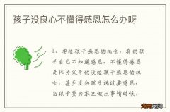 孩子没良心不懂得感恩怎么办呀