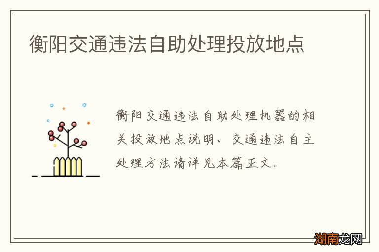 衡阳交通违法自助处理投放地点
