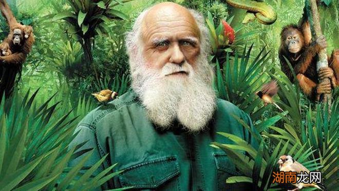 当机器人拥有了思维能否懂得人类情感