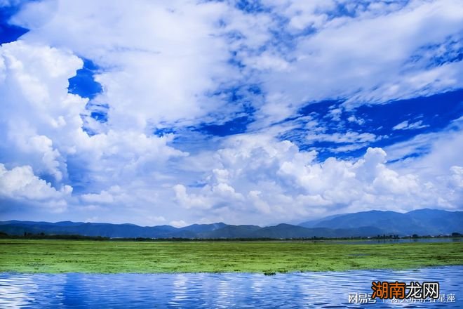 狮子座4月感情运势查询缘分总在意料之外容易在职场邂逅桃花