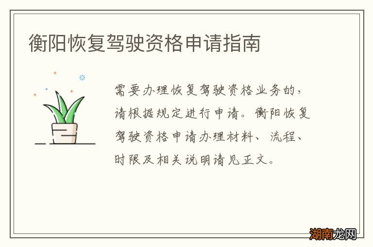 衡阳恢复驾驶资格申请指南