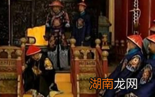 历史上的八王议政具体是什么情况?