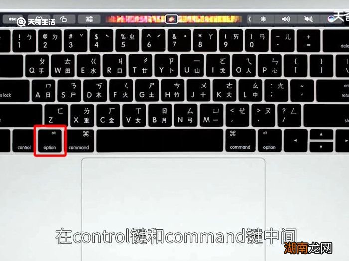 option键是哪个键 mac的option键是哪个键