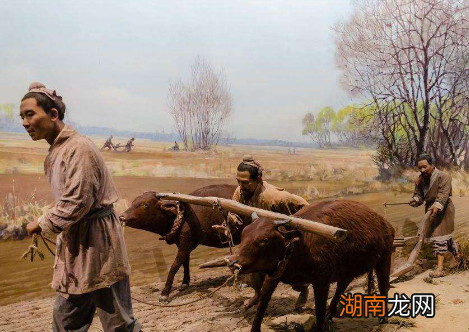 为了增加人口,康熙帝颁布了什么政令?