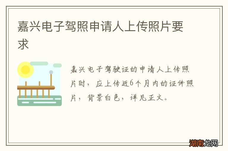 嘉兴电子驾照申请人上传照片要求