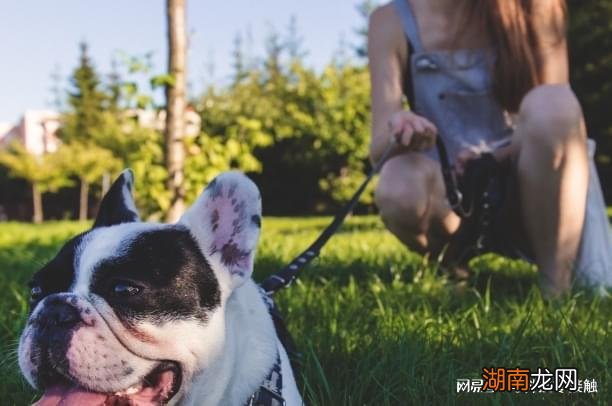 夫妻没有感情了怎么过下幽山法主茅山派挽回感情挽回爱情和合术