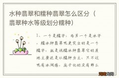 翡翠种水等级划分糯种 水种翡翠和糯种翡翠怎么区分