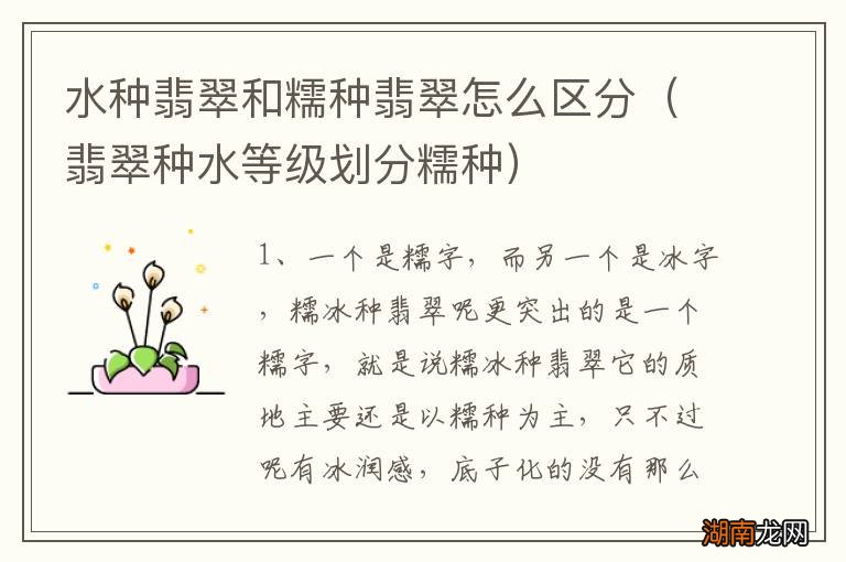 翡翠种水等级划分糯种 水种翡翠和糯种翡翠怎么区分